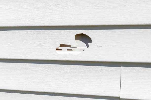 Shed Removal in Douglas, WY